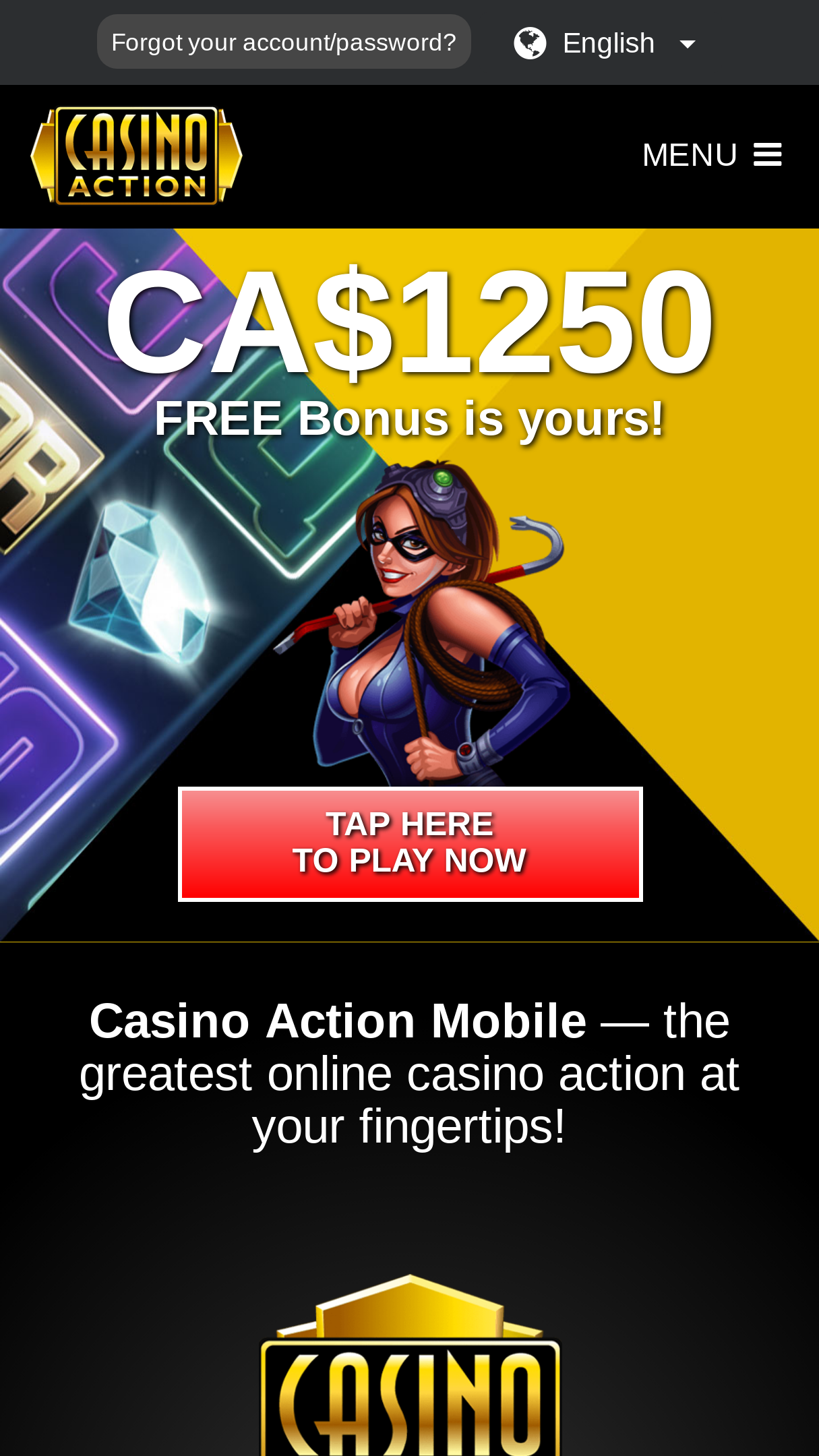 Casino Action Screenshot Casino Action Screenshot