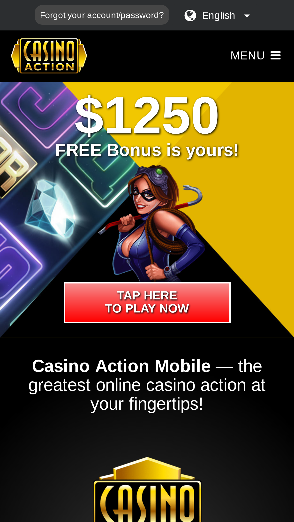 Casino Action Screenshot Casino Action Screenshot