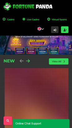 Fortune Panda Casino Screenshot