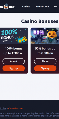 Mr Bet Screenshot