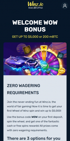 Winz Casino Screenshot