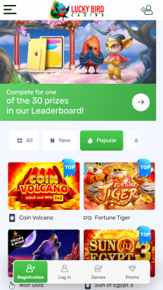 Lucky Bird Casino Screenshot