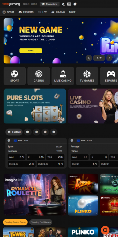 Toto Gaming Screenshot
