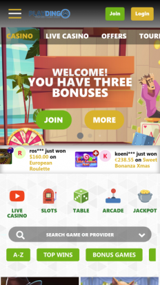 Playdingo Casino Screenshot