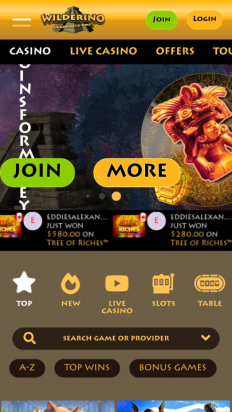 Wilderino Casino Screenshot