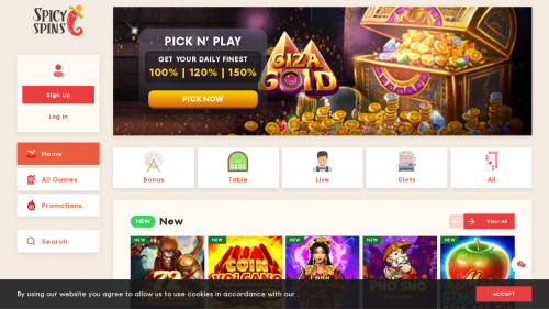 SpicySpins Casino Screenshot